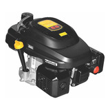 Motor Eixo Vertical Longo
