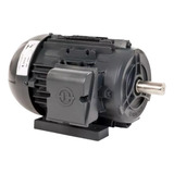 Motor Elétrico 5cv 2 Pólos Alta Rotação Trifásico Blindado