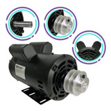 Motor Elétrico Monofásico 2cv 2 Polos 110 220 Alta Rotação