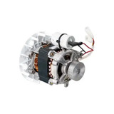 220v