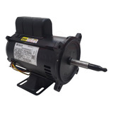 Bivolt