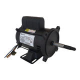 Bivolt