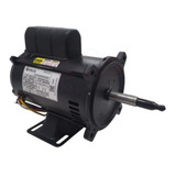 Bivolt