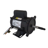 Bivolt