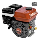 Motor Gasolina De Tratorito Completo Original 6 5hp 4t Z41