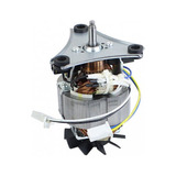 Motor Liq Ri2134 110v