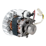110v