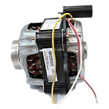 Motor N42m 4p 1
