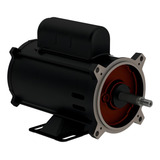 Motor Para Bomba De Piscina 3 4cv Bivolt Monofásico W48j Weg 110v 220v