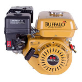 Motor Para Motobomba À Gasolina Bfg6 5 Hp Buffalo