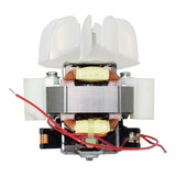 220v