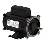 Motor Weg Elétrico P Motobomba De Piscina 1 4 1 3 1 2cv 220 V