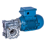 Motoredutor Monofasico 1cv 4p