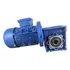Motoredutor Motor 1/2cv Com Redutor 1:100 220/380v Tri 18rpm
