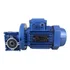 Motoredutor Motor 1/4cv Com Redutor 1:10 220/380v Tri 175rpm
