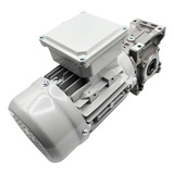 Motoredutor Q40 Com Motor 1 4cv Trifásico Eixo Vazado 18mm