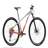 Mountain Bike Caloi Elite 2023 Aro 29 17 12v Freios De Disco Hidráulico Câmbio Shimano Deore M6100 Cor Alumínio Vermelho