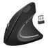 Mouse Gamer Sem Fio Usb Ergonomico Vertical Confortavel Cor Preto