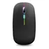 Mouse Preto Recarregavel Lithium Mini Ergonomico Sem Fio Usb Cor Preto