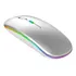 Mouse Rgb Led Anatômico Sem Fio Bateria Recarregável 2,4g Cor Prateado