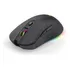 Mouse Rgb Wireless E Cabo Double Max 10000dpi 6 Botões