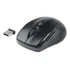 Mouse Sem Fio 1600dpi M-w012 Bk Preto V2 C3 Tech