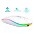 Mouse Sem Fio Recarregável Led Carregador Usb Ergonômico Cor Branco