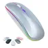 Mouse Sem Fio Recarregável Wireless Led Rgb Ergonômico Cor Prateado
