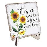 MTL HOE Decoração De Mesa De Mentalidade Positiva Placa De Madeira Presentes De Incentivo Inspiradores Presentes Positivos Para Mulheres Colega De Trabalho Mãe Tia Professora Gir Cor 