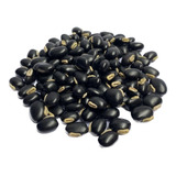Mucuna Preta