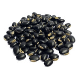 Mucuna Preta 1 Kg Sementes Para Plantio