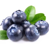 Muda De Blueberry Mirtilo Para Produzir