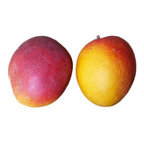 Ano