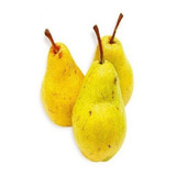 Plantio