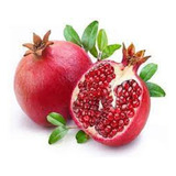Muda De Romã Gigante Wonderfull punica Granatum Vermelha