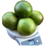 Muda Enxertia Umbu Gigante
