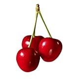 Muda Frutífera De Cereja De Bolo Enxertada