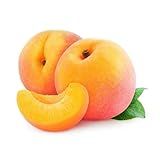 Muda Frutífera De Pêssego Precocinho Enxertado