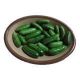 Mudas De Mini Pepino