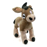 Burro