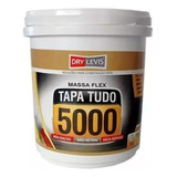 Multimassa Tapa Tudo 5000 Flex Gesso Reparos Madeira 340g
