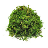 Musgo Artificial P Arranjos