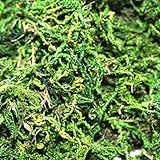 Musgo Artificial P-Arranjos E Jardins 3 Litro