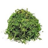 Musgo Artificial Para Arranjos E Jardins 4 Litro