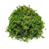Musgo Artificial Verde Para