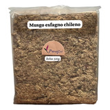 Musgo Esfagno Chileno 500