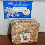 Musgo Esfagno Chileno