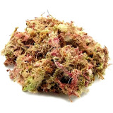 40grs