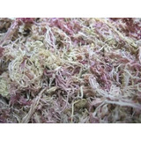 Musgo Esfagno Sfagno Sphagnum Seco Orquídeas 4 Litros