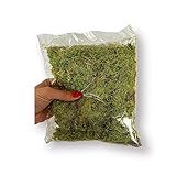 Musgo Para Artesanato Cor Verde Limão Desidratado Pacote 20 Gramas Esfagno Sphagnum Para Plantas E Orquídeas
